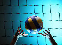 Volleyball Image