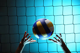 Volleyball Image